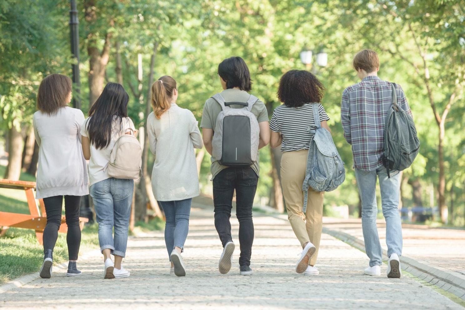 Studiengruppe bei Online-Präsentation von Finanzprojekten